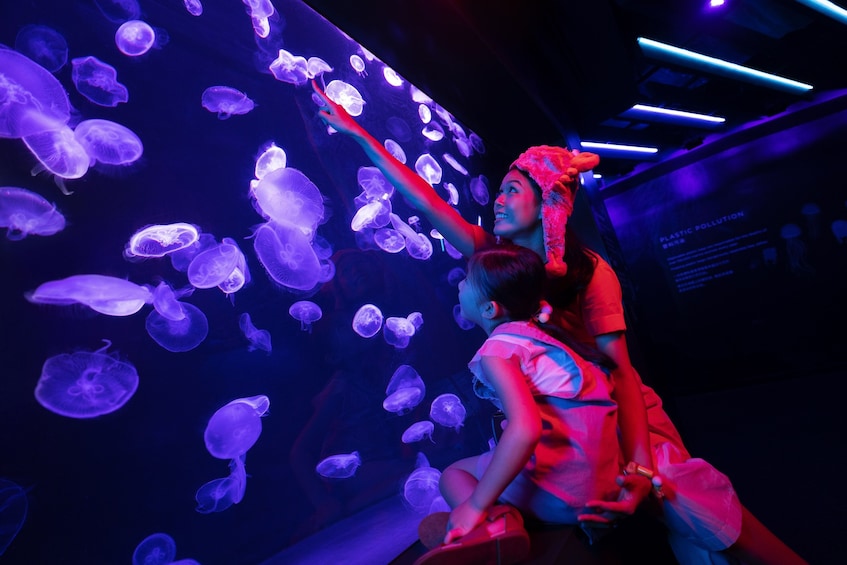 Show item 3 of 7. S.E.A. Aquarium™ One-Day Ticket