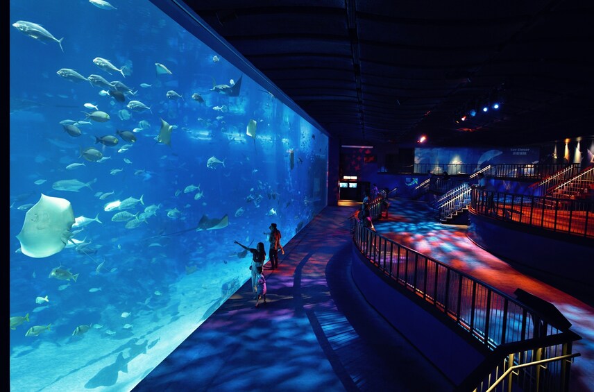 Show item 5 of 6. S.E.A. Aquarium⢠One-Day Ticket