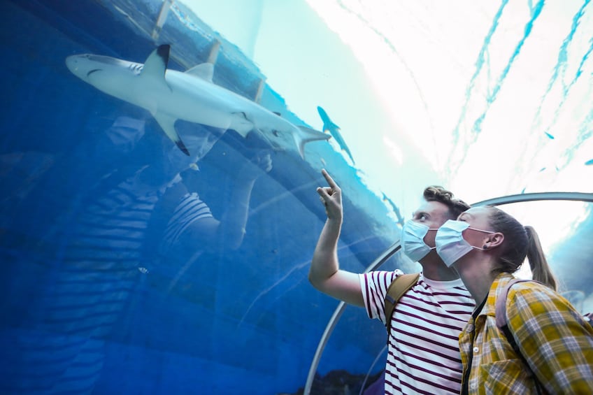 Show item 4 of 7. S.E.A. Aquarium™ One-Day Ticket