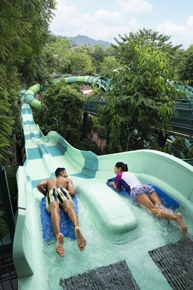 Show item 3 of 8. Adventure Cove Waterpark™ One-Day Ticket