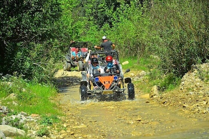 "Side Buggy Safari: Off-Road Thrills and Adventure!"