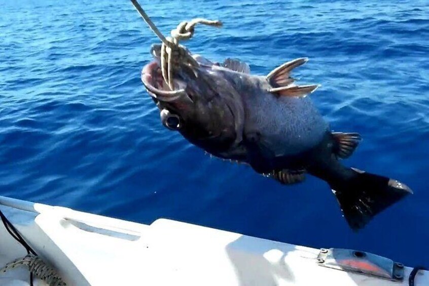 Fishing Experience Side