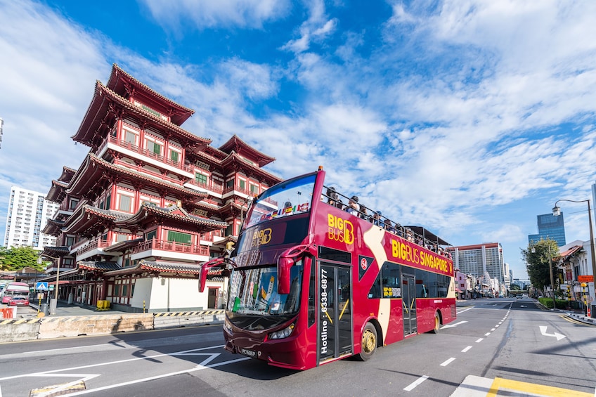 Big Bus Singapore Hop-on Hop-off Tour (6 Routes)