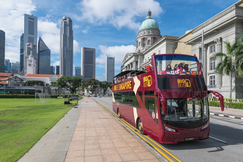 Singapore Hop-On Hop-Off Bus Tour