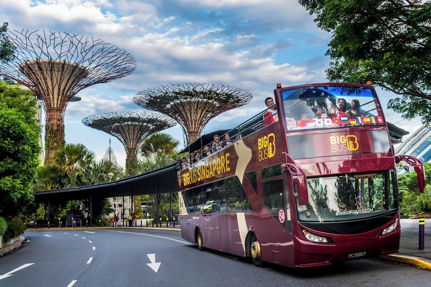 Singapore Hop-On Hop-Off Bus Tour