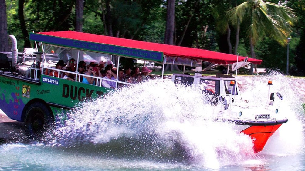 Duck entering into water with a splash in Singapore