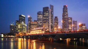 Night City Tour with Dinner