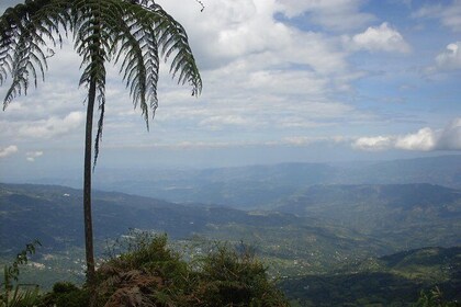 Chicaque Natural Park - Hiking or Birdwatching experience
