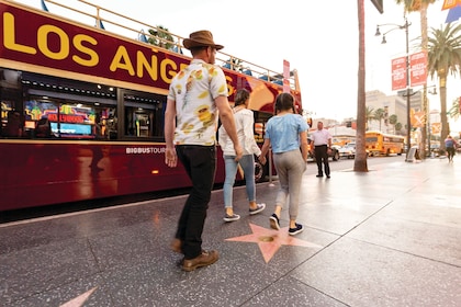 Celebrity Homes Tour plus 2-daagse Los Angeles Hop-on Hop-off Big Bus-pas