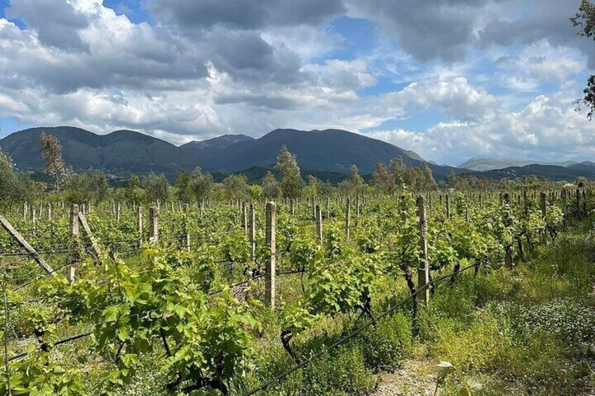 Experience Blue Eye , Lekuresi Castle and Taste Traditional Albanian Wine