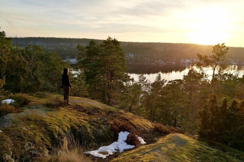 Stockholm Nature Hiking - Summer - True Nature Sweden