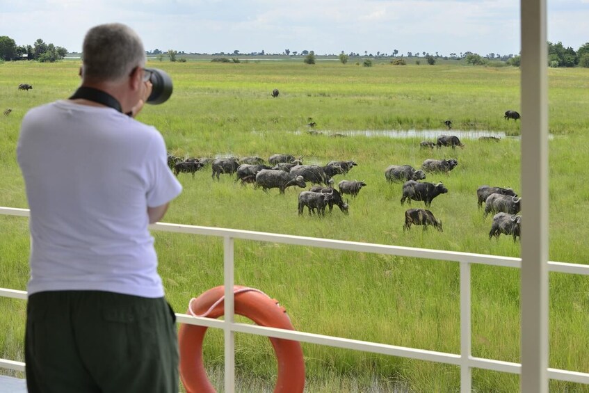 Show item 1 of 4. Zambezi River Sunset Cruise