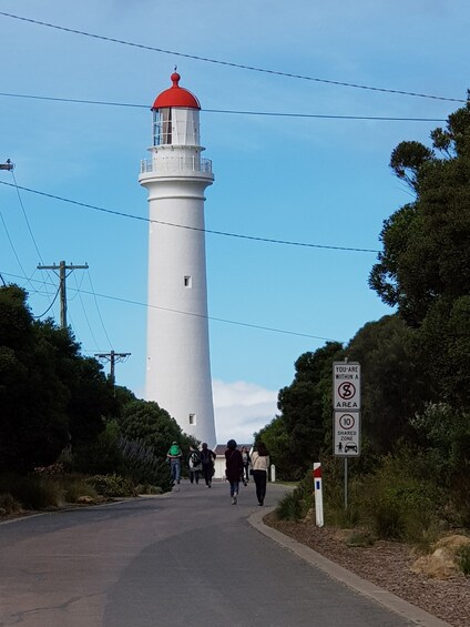 Show item 4 of 10. Ultimate 2 Day Great Ocean Road Tour