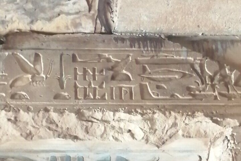 Full day Dendera and Abydos temple