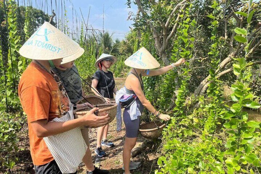 1-Day Explore Non-Touristy Side Of Mekong Delta-Deluxe Small Group 10 Max