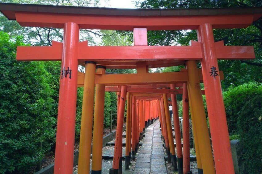 Red Trii gates lined up at Nezu Shrine