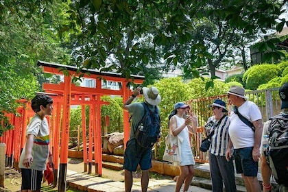 El casco antiguo de Tokio: recorrido a pie por Yanaka