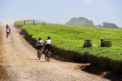 8 Days Africa Biking Tour