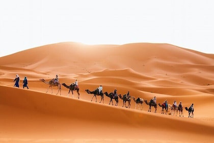 Fez to Marrakech 3 days Sahara Desert tour