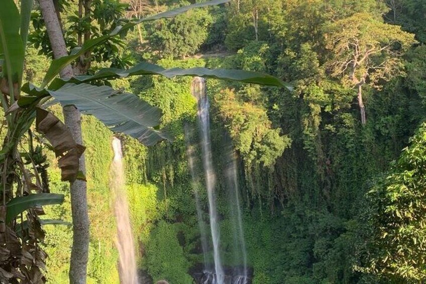 Bali swing, Waterfall, Tanah lot Tour