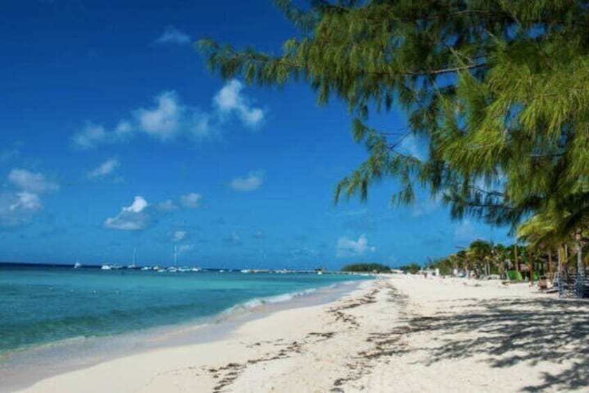 Day At The Beach With Lunch And Drinks