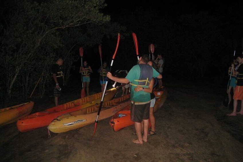 Bioluminescent Bay Kayak Trip from Vieques