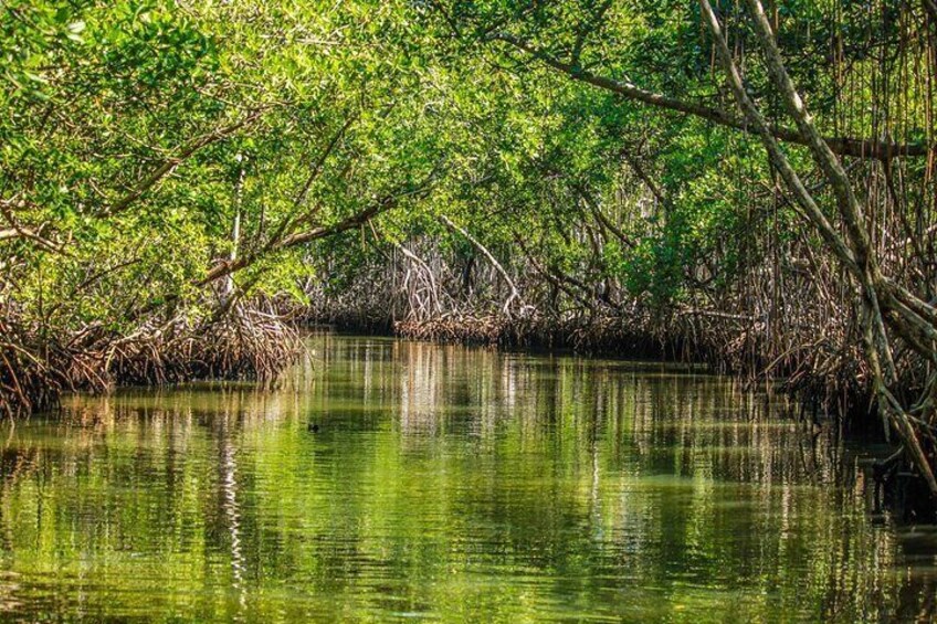 Hike and Kayak Tour in the Los Haitises National Park