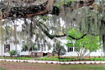 Hilton Head Honey Horn Eintritt mit Führung