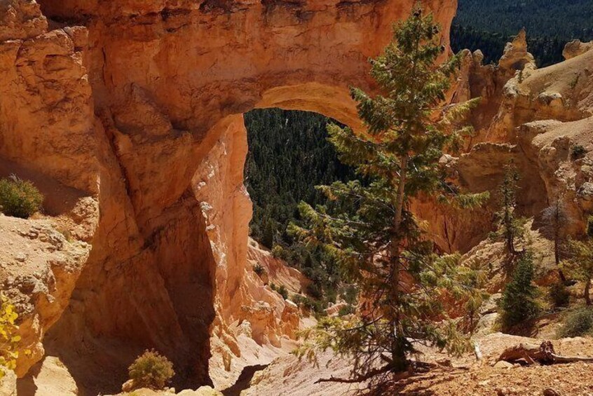 Private Day Trip to Bryce Canyon National Park from Salt Lake City