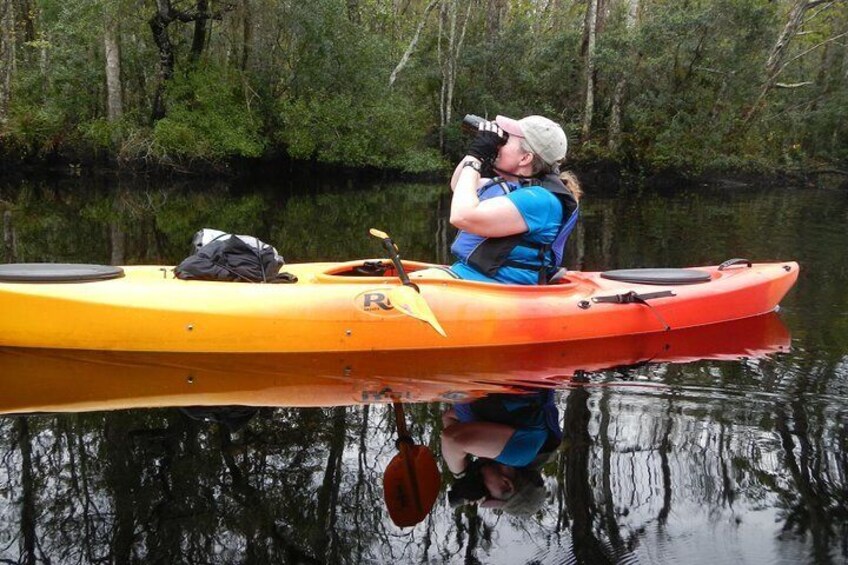 Lofton Creek Kayaking Trip with Professional Guide