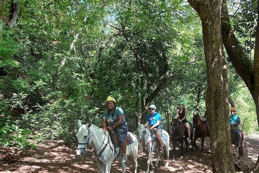 Zip line, Hot Springs, horses and More