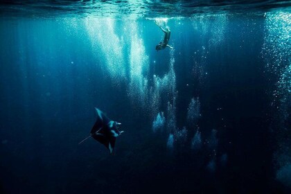 Recorrido compartido de esnórquel por la laguna circular de Bora Bora