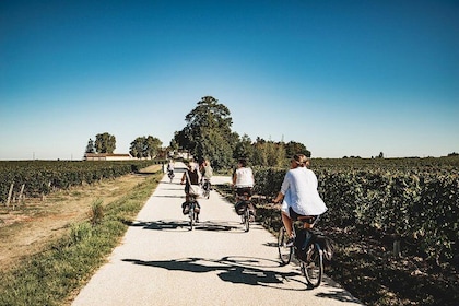 Saint-Emilion Half Day Electric Bike Tour with Wine Tastings and Picnic Lun...