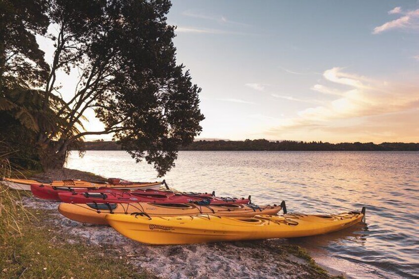 Rotorua- Starlight Gourmet Kayak Tour