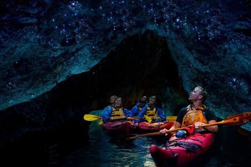 Rotorua- Starlight Gourmet Kayak Tour