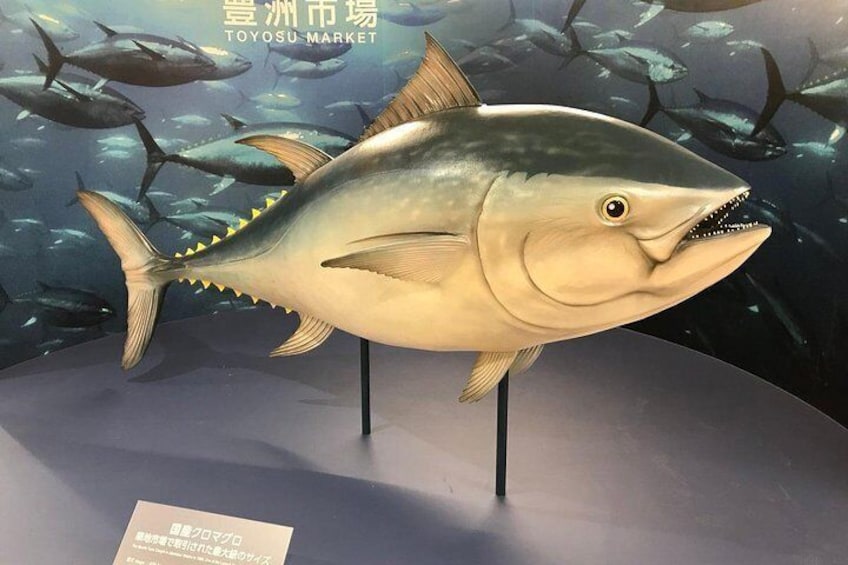 Tsukiji Food and Toyosu Market with Government-Licensed Guide