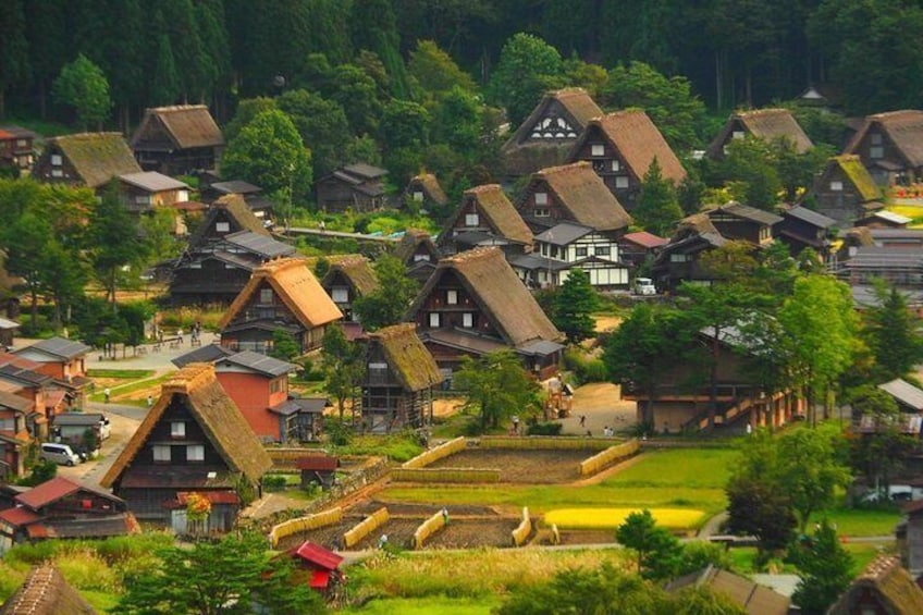 Shirakawa-go Charter Car Tour (Kanazawa departure) with English-speaking Driver