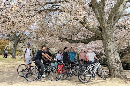Nara - Heart of Nature Bike Tour