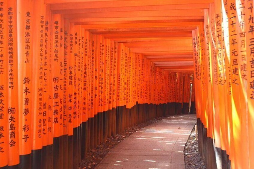 A quieter moment at Fushimi Inari.