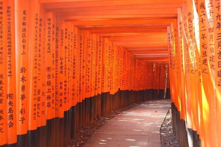A quieter moment at Fushimi Inari.