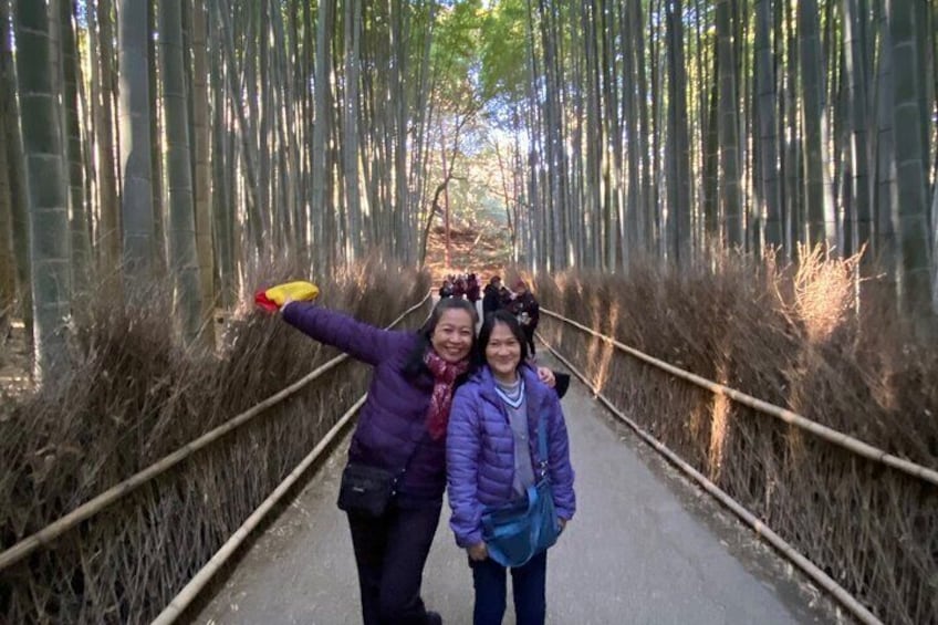 Kyoto Arashiyama & Sagano Bamboo Private Tour with Government-Licensed Guide