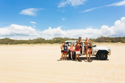 Dingos 2 Day K'Gari (Fraser Island) 4x4 Tag-Along Tour