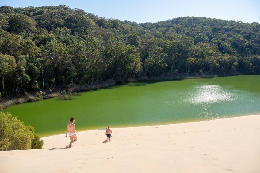Hike across the spectacular Hammerstone Sandblow to swim in the clear green waters of Lake Wabby