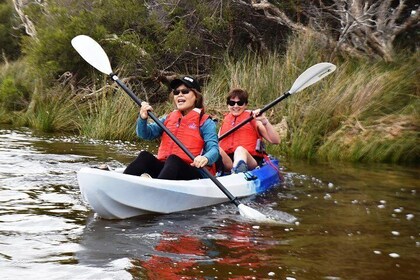 Perth Kayak Tour - Canning River Wetlands 