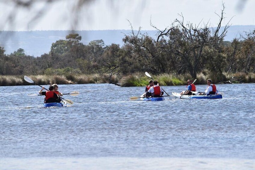 Entering the wetlands on the paddling tour