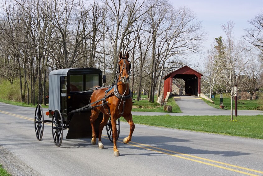 tours from new york to amish country