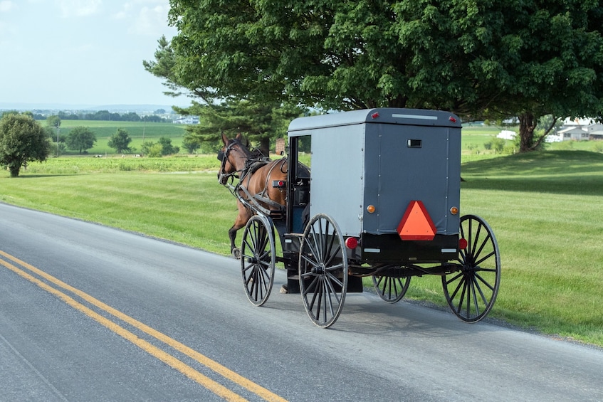 Show item 4 of 5. New York to Amish Country Private Day Trip
