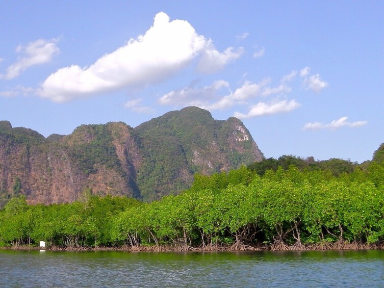 Half-Day Sea Kayaking Adventure in Ao Thalane Bay from Krabi