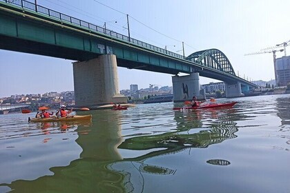 Kayaking under Belgrade bridges