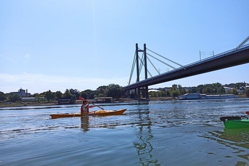 Kayaking under Belgrade bridges